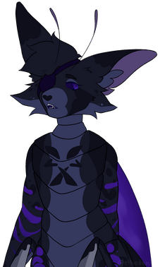 Halfbody
